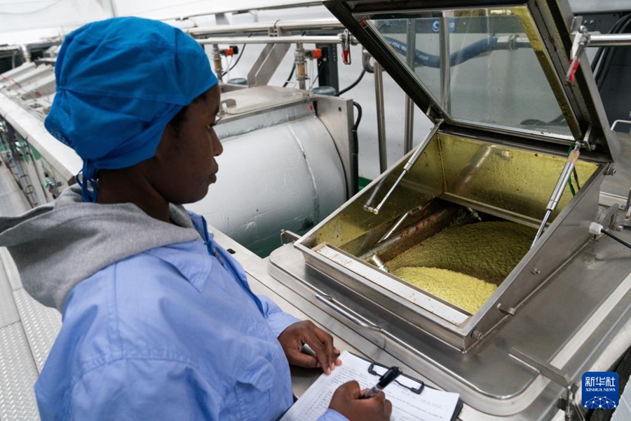 Le imprese cinesi contribuiscono alla trasformazione e all'ammodernamento dell'industria dell'avocado in Kenya