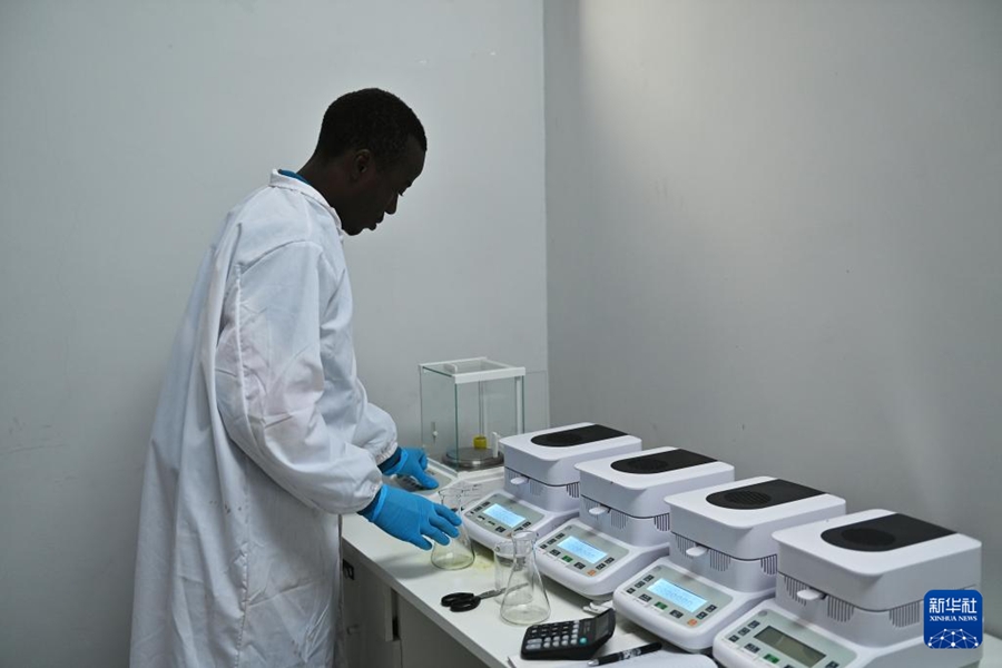 Le imprese cinesi contribuiscono alla trasformazione e all'ammodernamento dell'industria dell'avocado in Kenya