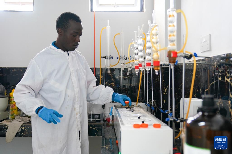 Le imprese cinesi contribuiscono alla trasformazione e all'ammodernamento dell'industria dell'avocado in Kenya