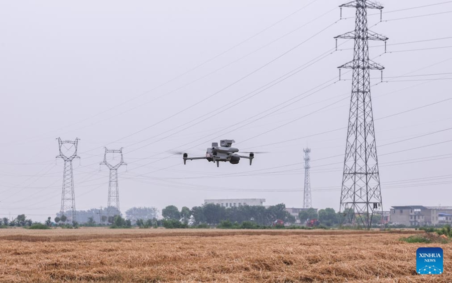 Dispositivi intelligenti impiegati durante la stagione di raccolta del grano nell'Anhui