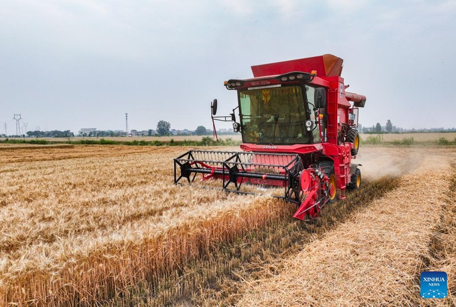 Dispositivi intelligenti impiegati durante la stagione di raccolta del grano nell'Anhui