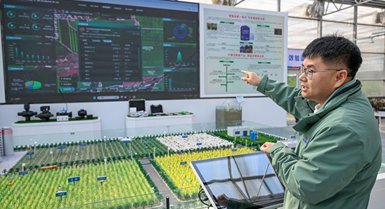Applicazioni commerciali dell'IA fioriscono in tutta la Cina