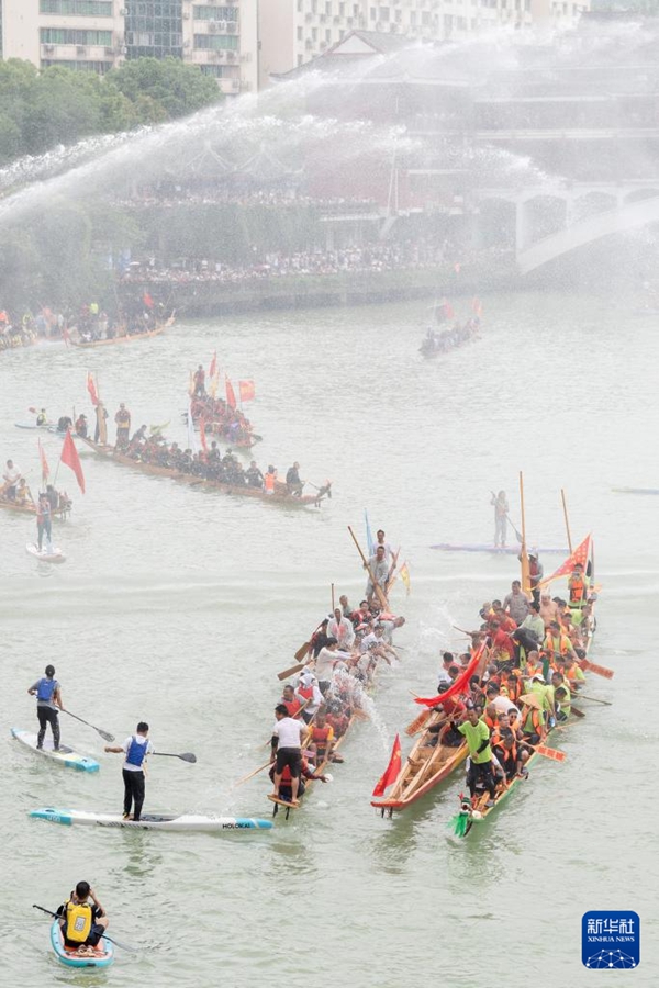 Gare di barche drago per celebrare la Festa di Duanwu