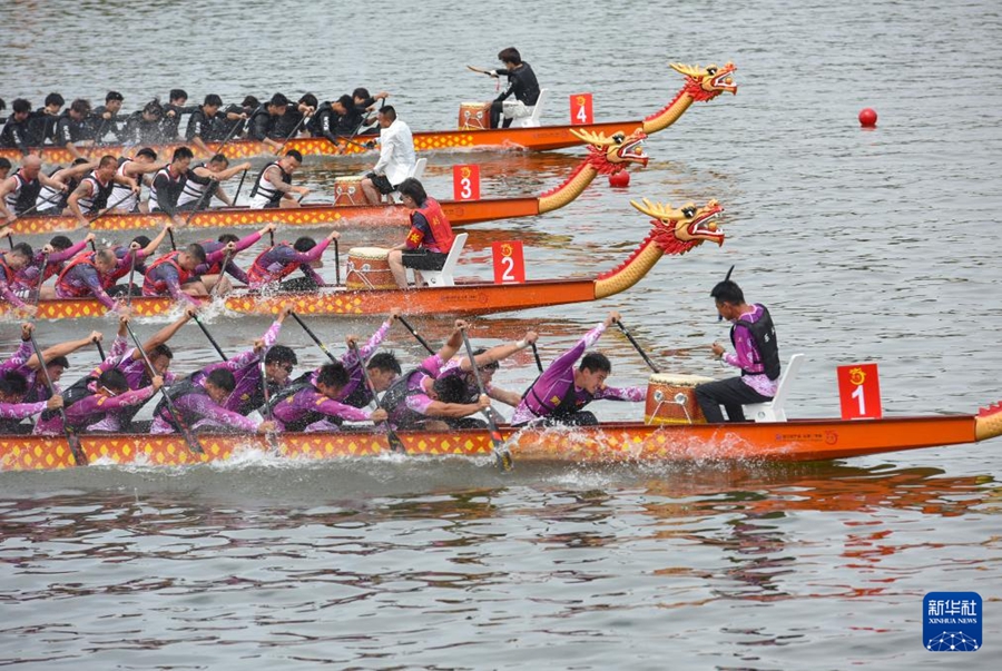 Gare di barche drago per celebrare la Festa di Duanwu