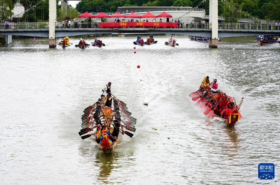 Gare di barche drago per celebrare la Festa di Duanwu