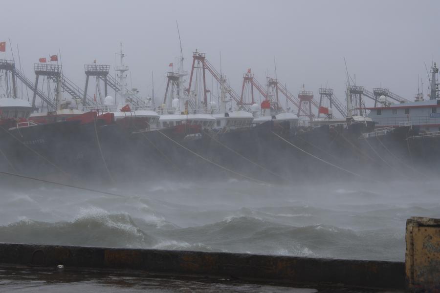 Acque agitate a causa del tifone Matmo presso un porto della città di Maoming, nella provincia del Guangdong, Cina meridionale. (5 ottobre 2025 - Xinhua/Pan Yujie)