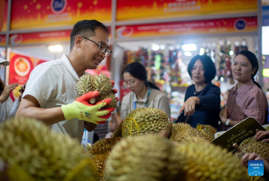 Siglati progetti per un valore di 27,7 miliardi di yuan all'Expo Cina-Asia meridionale