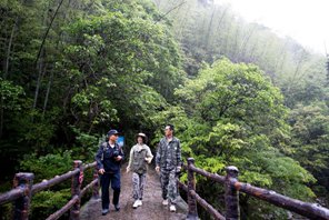 Coltivatore di tè pattuglia il Parco Nazionale di Wuyishan come guardia forestale