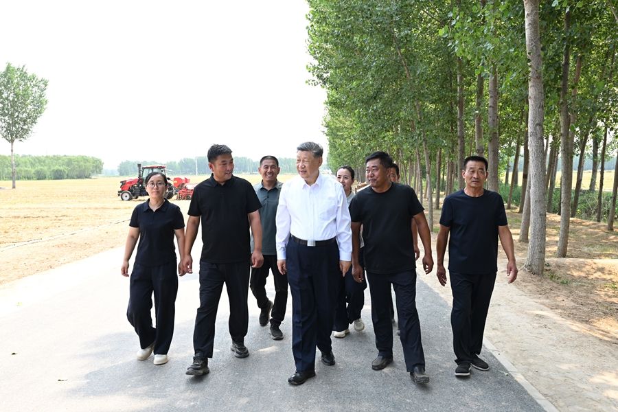 Visita di ispezione di Xi Jinping a Dezhou