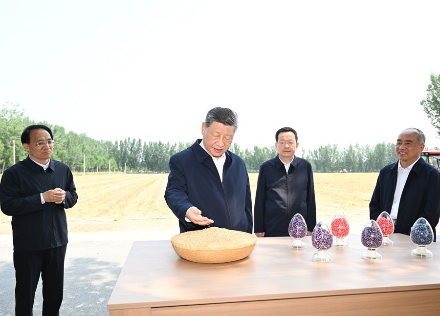 Visita di ispezione di Xi Jinping a Dezhou