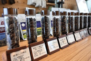 L'industria del caffè prospera a Jiangmen, nel Guangdong
