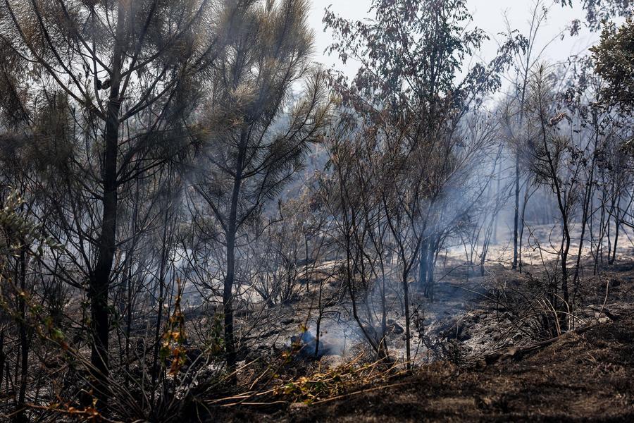Ondata di calore precoce provoca vittime e alimenta vasti incendi in tutta Europa