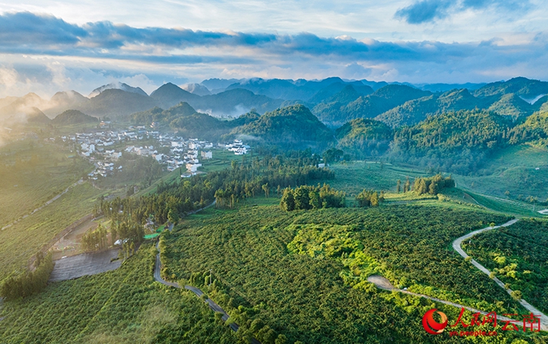 Xichou, Yunnan: Colline rocciose e aride trasformate in frutteti di kiwi