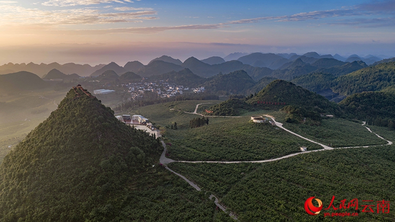 Xichou, Yunnan: Colline rocciose e aride trasformate in frutteti di kiwi