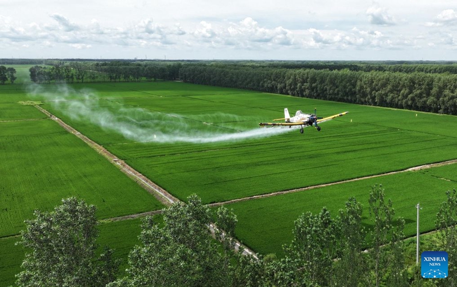 Avviate operazioni aeree di protezione delle colture per la prevenzione delle malattie nello Heilongjiang