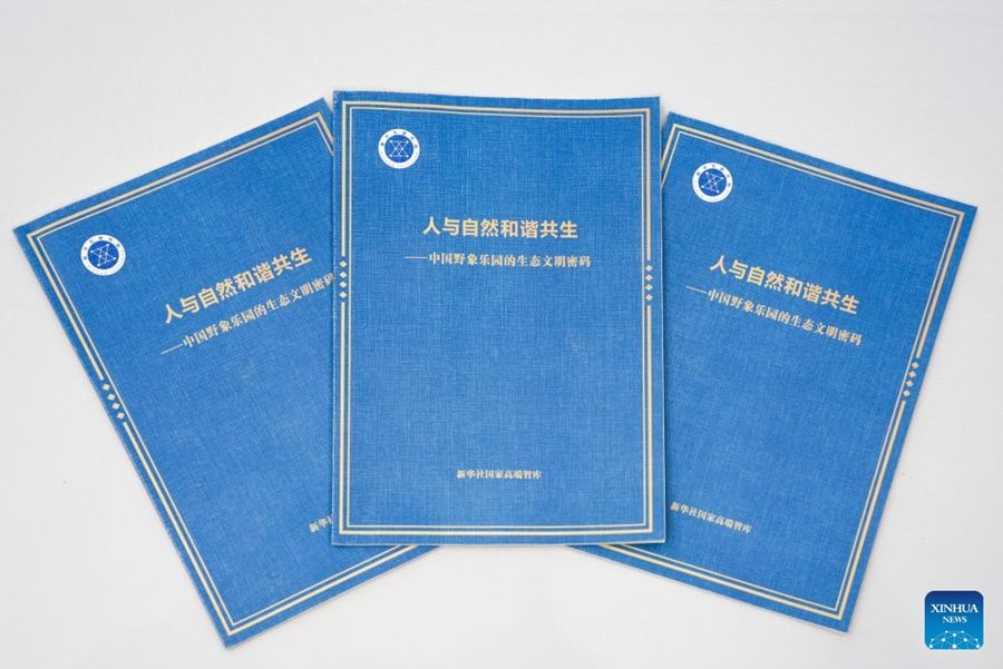 Forum sulla comunicazione internazionale in corso nello Yunnan