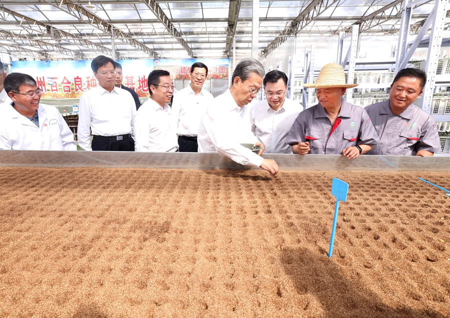 (17 luglio 2026 - Xinhua/Pang Xinglei)