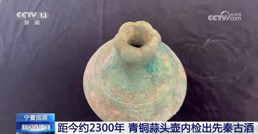 Scoperti residui di bevanda alcolica risalenti a 2.300 anni fa nella regione cinese del Ningxia