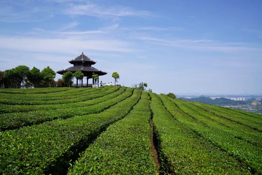 Una fresca giornata a Guiyang