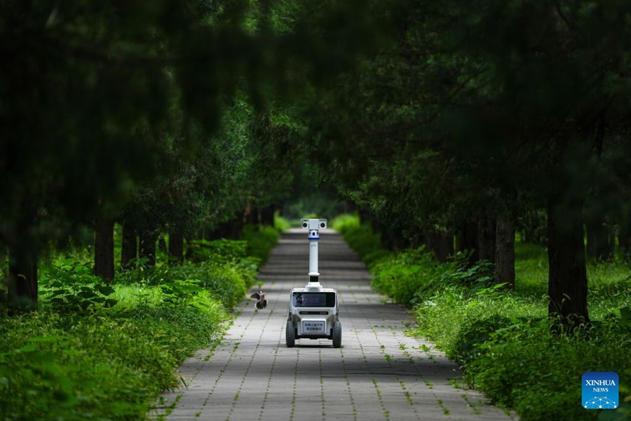 Nuovi robot nel Parco del Tempio del Cielo a Beijing