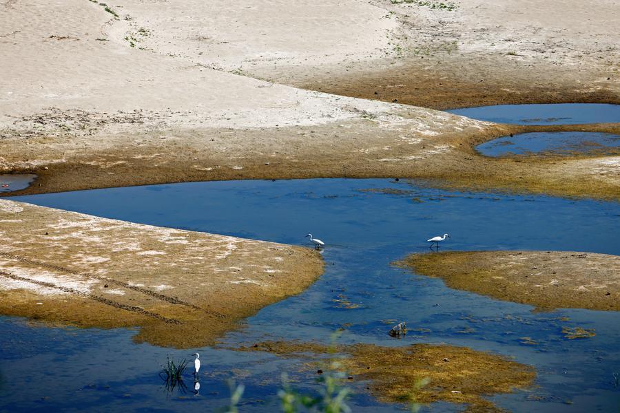 Letto scoperto del fiume Danubio a Rasova, Romania sud-orientale. (5 agosto 2026 - Cristian Cristel/Xinhua)