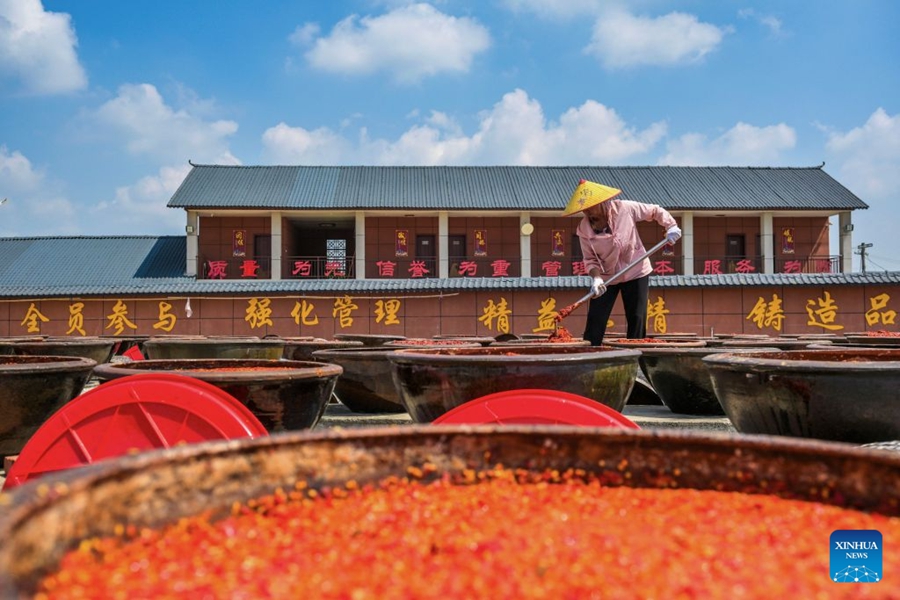 Preparativi per la produzione di salsa al peperoncino nello Hunan