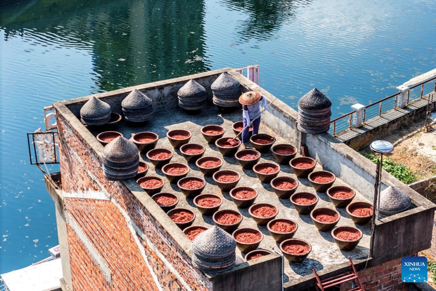 Preparativi per la produzione di salsa al peperoncino nello Hunan
