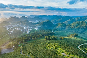 Xichou, Yunnan: Colline rocciose e aride trasformate in frutteti di kiwi
