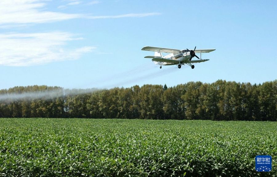 Heilongjiang, aerei e droni sostengono la produzione dei cereali autunnali