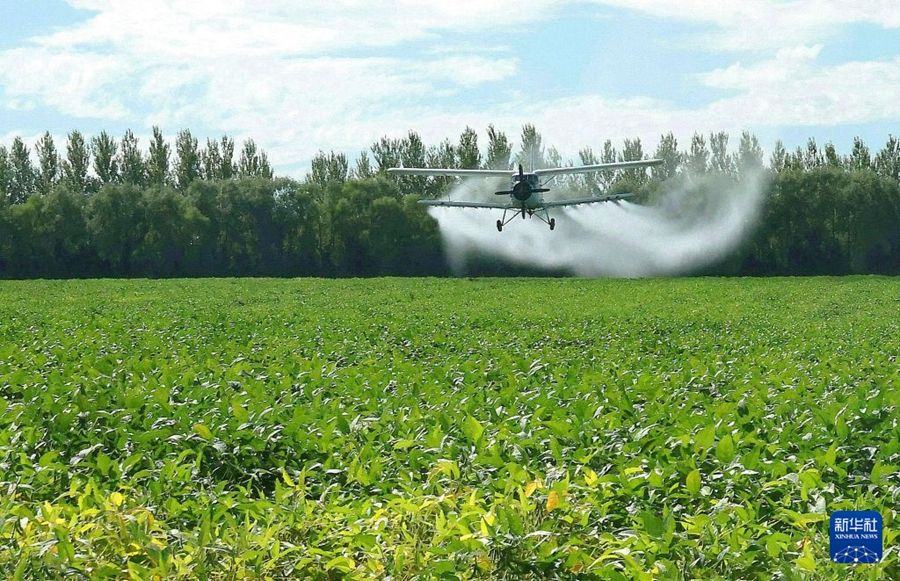 Heilongjiang, aerei e droni sostengono la produzione dei cereali autunnali