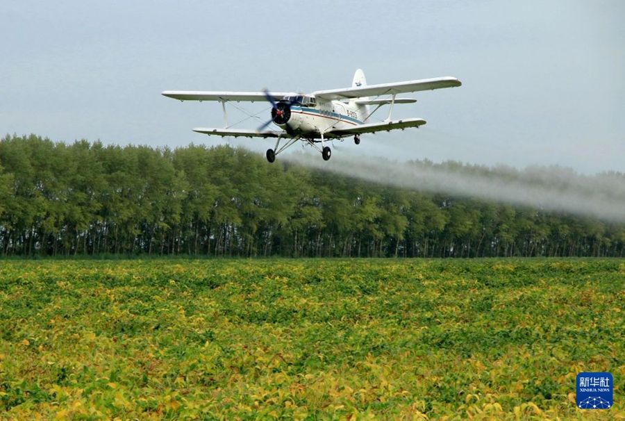 Heilongjiang, aerei e droni sostengono la produzione dei cereali autunnali