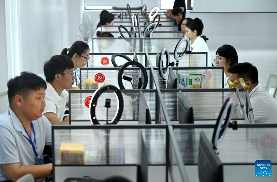 Zhengzhou, gara di competenze professionali per persone con disabilità