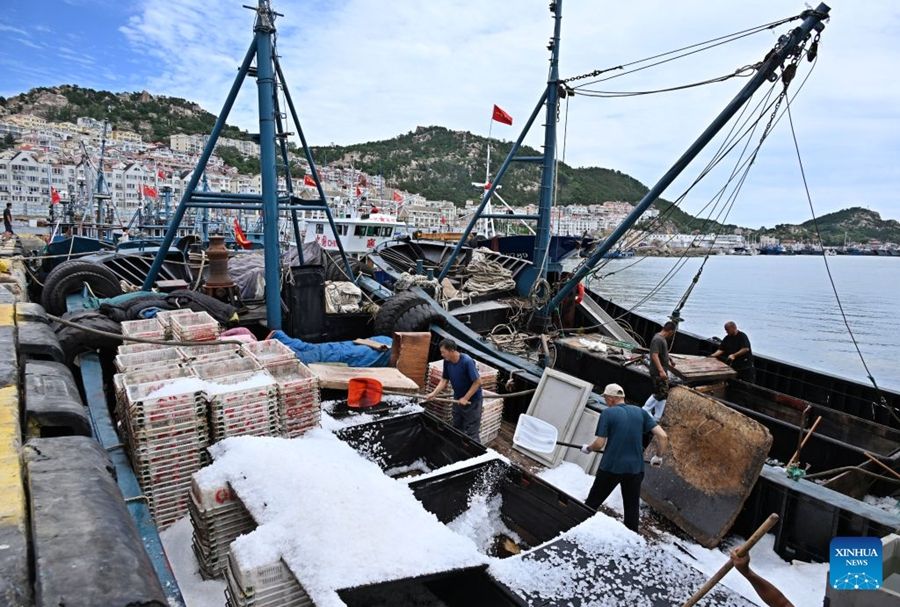 Al via la nuova stagione di pesca nel Mar Giallo e nel Mar Bohai