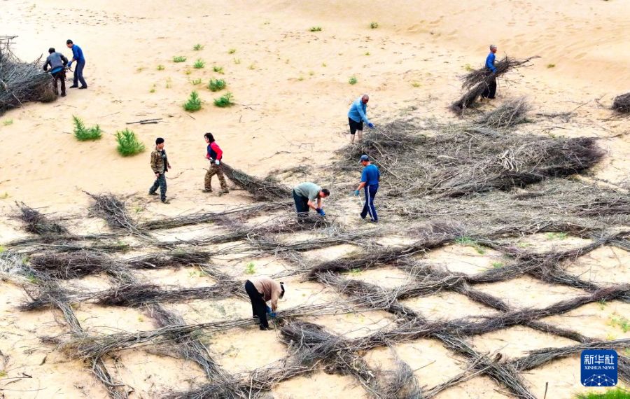 Ordos, lotta alla desertificazione attraverso sussidi verdi in cambio di lavoro