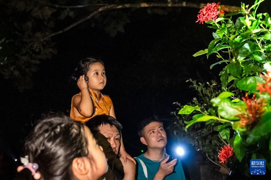 Tour notturno nella foresta pluviale nello Yunnan, un'aula di biologia unica