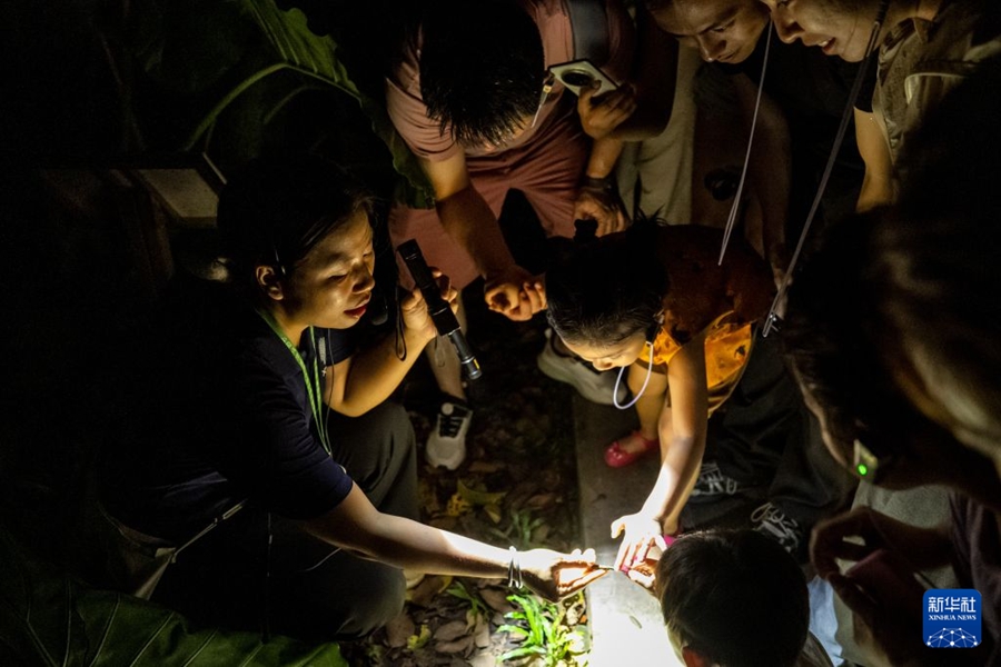 Tour notturno nella foresta pluviale nello Yunnan, un'aula di biologia unica