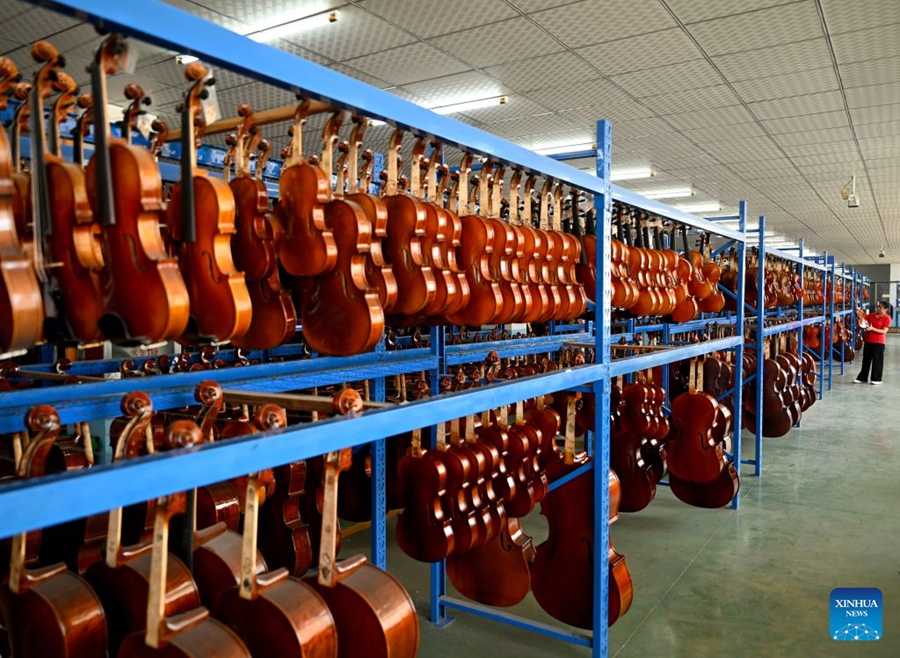 Fiorente produzione ed esportazione globale di violini nello Henan