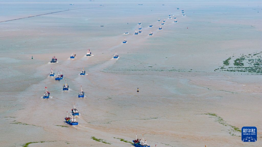 Conclusa la moratoria estiva sulla pesca, i pescatori accolgono l'inizio della stagione
