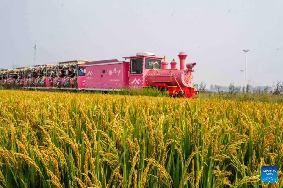 La Festa di Metà Autunno porta momenti di svago in tutta la Cina