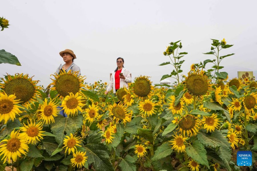 La Festa di Metà Autunno porta momenti di svago in tutta la Cina
