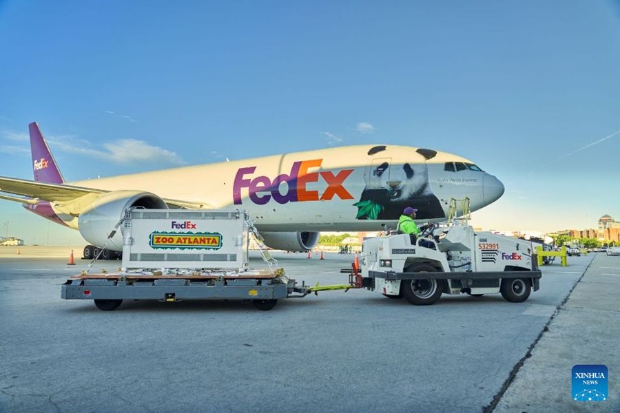 Coppia di panda cinesi arriva nella città statunitense di Atlanta