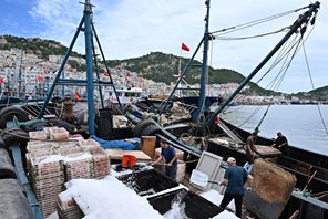 Al via la nuova stagione di pesca nel Mar Giallo e nel Mar Bohai