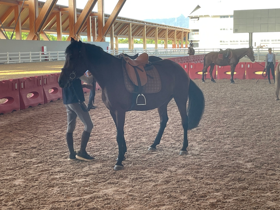 Diario di viaggio - Shenzhen 3.0 | Giorno 4: Guangming International Equestrian Center