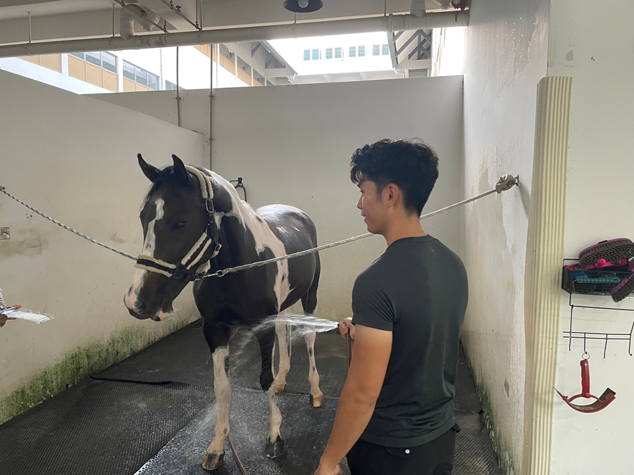 Diario di viaggio - Shenzhen 3.0 | Giorno 4: Guangming International Equestrian Center